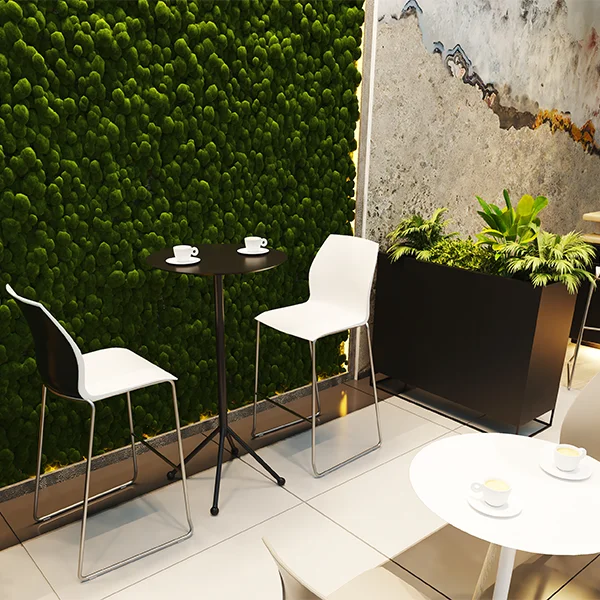 Green design servizio