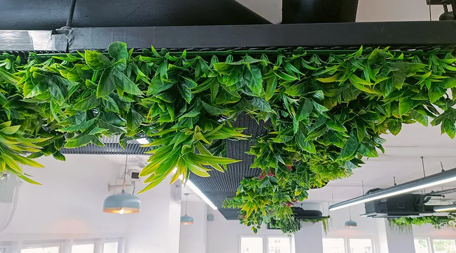 Green wall: oasi di benessere e produttività negli spazi lavorativi