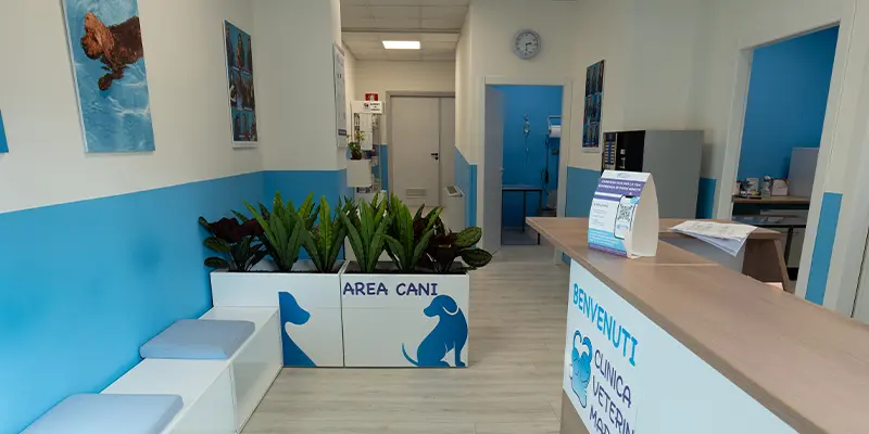 Clinica Veterinaria Marengo
