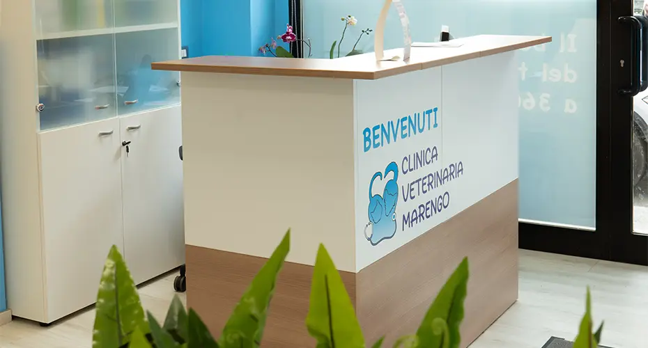 Bancone reception personalizzato