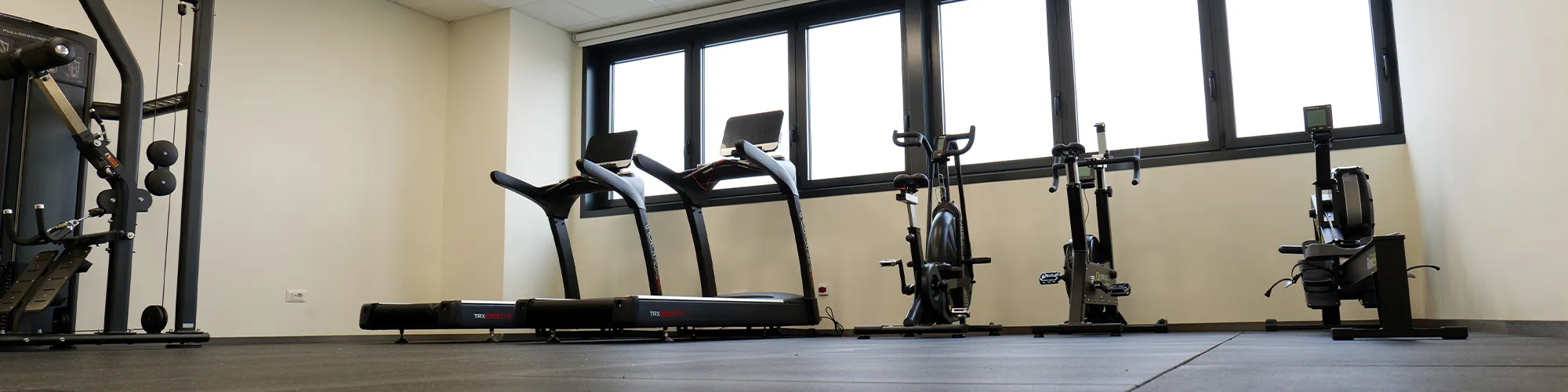 Palestra aziendale