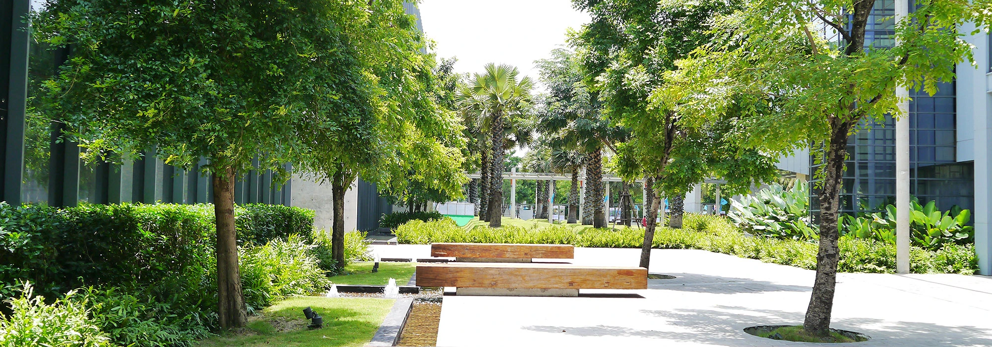 Giardino aziendale con alberi, vegetazione, sedute in legno e percorsi pedonali, progettato per migliorare il benessere dei dipendenti e la fruizione degli spazi esterni.