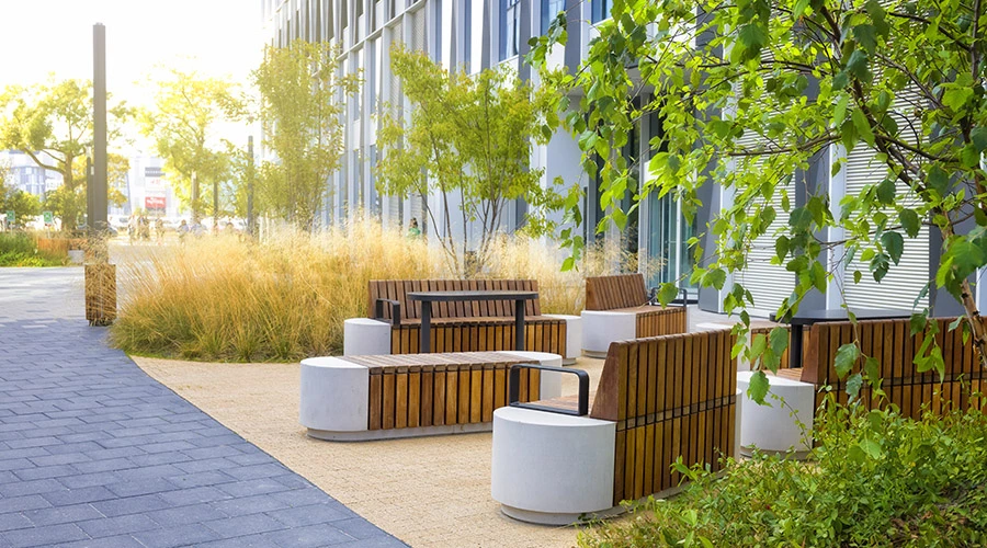 Spazio outdoor aziendale con panchine, alberi e vegetazione ornamentale, progettato per offrire comfort, benessere e momenti di pausa all'aperto ai dipendenti.