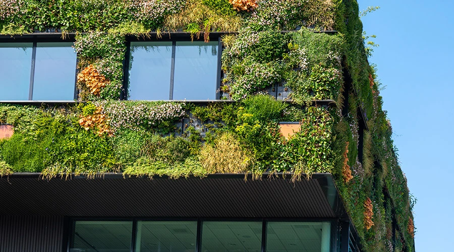 Facciata di edificio per uffici rivestita da un giardino verticale con piante e vegetazione integrata, esempio di progettazione biofilica applicata agli ambienti di lavoro.