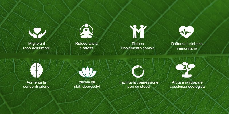 benefici del forest bathing