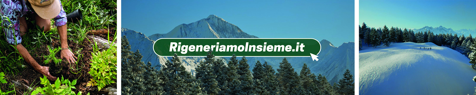 levissima rigeneration